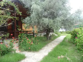 Datça, wooden Chalets few steps from the Sea! - Image 4