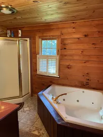 log cabin in townsend delaware - Image 5