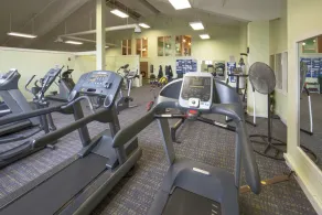 Villa Vermont près des sentiers | Accès à la piscine et au centre de remise en forme! - Image 4
