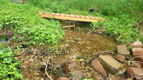 ❤️ Tiny House with Creek Access ❤️ - Image 3