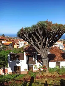 Hostel Tenerife - Image 5