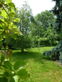 Ground floor in a large garden - Image 2