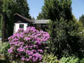 Detached holiday home with exclusive pool use close to Dresden - Image 5