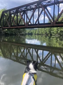 DIRECTLY ON THE SACO RIVER.  5500' of Frontage - Image 4