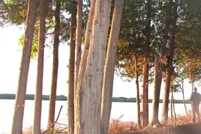 Lakeview Campsite C - Image 5