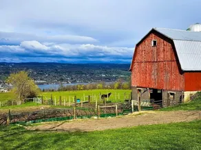 Newly Renovated Farm House with Lake View - Image 5