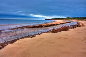 Oceanfront Getaway | Walk to Harbour | Quiet & Scenic - Image 5
