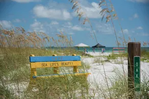 Charming Cottage with modern amenities close to beach w/ pool, beach gear, bikes - Image 5