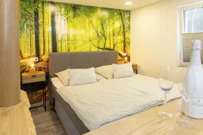 Mr. Pfeffer's Small Vacation Apartment - Image 5