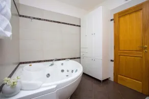 Villa Zuccon - managed by Travel Istria - Image 3