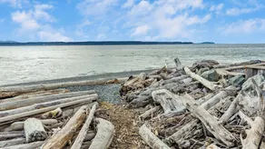Chateau Coho by Avantstay Easy Beach Access - Image 5
