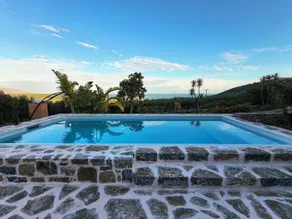 Olive grove house of Babis - Image 2