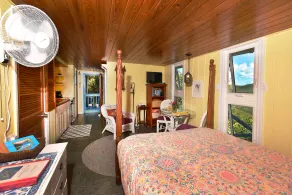 No Power Outages Here! Private Apt. with Water View/Gorgeous Location for 2 - Image 5