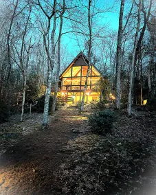 Peaceful Cabin Retreat w/ Fishing Pond, near Folk School. WiFi,  Pet Friendly! - Image 4