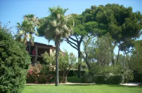 T2 im bewaldeten Park - Image 5