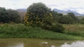 Serra do Itacolomy, Casa de campo - Image 4