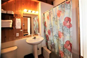 Black Bear Cottage - Image 4