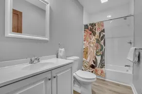 Large Charming Victorian Oasis in Elmwood Village - Image 3