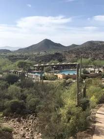 🌵Oasis In Starr Pass🌵Sonoran Desert Enthusiast's Legeplads ☀️Vitamin D inkluderet☀️ - Image 5