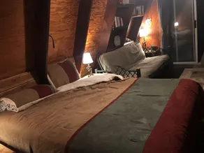 SHEKHINA   A tiny house in the woods.  40 acres. Total privacy. Weekend retreat. - Image 4