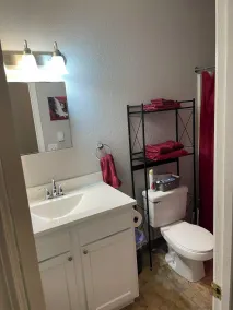 Cozy 1 Bedroom Located Downtown/Close to Soaring Eagle/CMU - Image 2