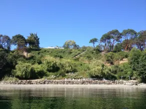 Vashon Island Loft  & Beach - Pet Friendly - Image 4