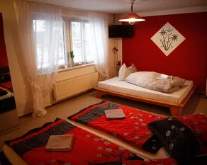 5 minutes to Lake Olbersdorf, vacation apartment with fireplace - Image 4