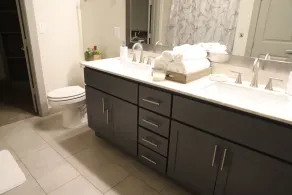 Heart of Houston Luxury Living Galleria Area - Image 3