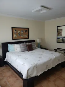Beachfront Condo by the Wyndham RioMar 35 min from Airport 15 min El Yunque - Image 5