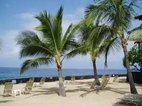 Garden Floor Unit i Ocean Front Condo Complex Casa De Emdeko - Image 3