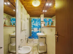 Merveilleuse maison de vacances privée avec WIFI, climatisation, TV, patio et animaux admis - Image 4