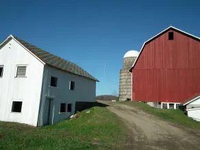 Kommen Sie zu dem Land!  Bleiben Sie auf dem Bauernhof! - Image 3