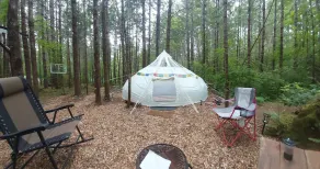 Glamping in the magical forest of Elfendahl. - Image 3