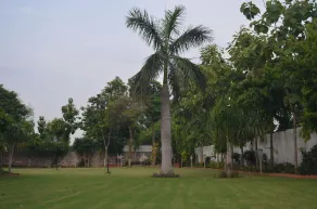 TALWAR FARMHOUSE NO 10 - Image 4
