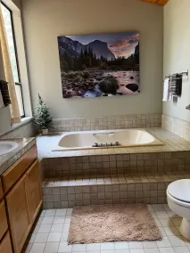 Views!! Jetted-Tub, Backyard Snow Sledding, King Bed, Shuffleboard, Generator - Image 4