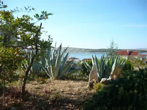 Holiday apartment with terrace and air conditioning - Image 4