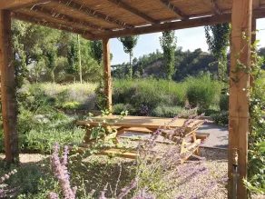 Secluded country villa - large pool/table tennis/pool table/foosball/bocce court - Image 3