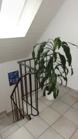 Spacious apartment in a quiet location - Image 2