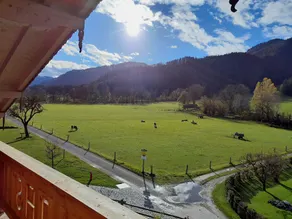 Apartments Rohnbogner - Holiday apartment Hirschberg - Image 5