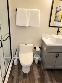 Renovated \"Arctic Rose\" Loft in Historic Florence - Image 5