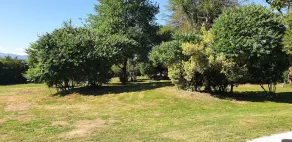 Peace and green charm - Image 5