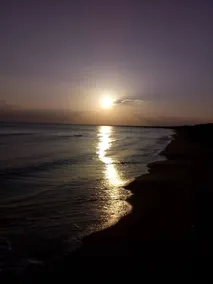 lejligheder til turistbrug, få skridt fra borgo egnazia og mange andre destinationer - Image 4