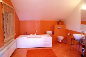 Villa Boskovic - Image 2