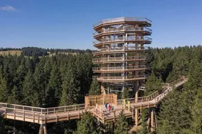 Vores chalet er designet til ren fornøjelse i naturens hjerte - Image 5