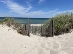 Beachland I - Image 4
