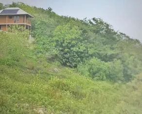 Cosy off grid cabin 15 minutes from beautiful beaches - Image 5