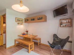 Bright studio near slopes, pets allowed - Image 5