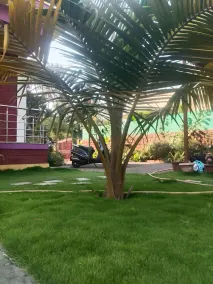 SeaBreeze Nature Embrace Villa - Alibaug - Image 2