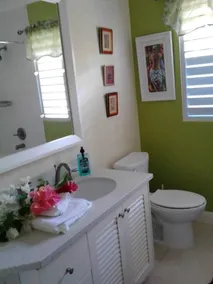 Artscape Jamaica Villa @Richmond near Ocho Rios - Image 4