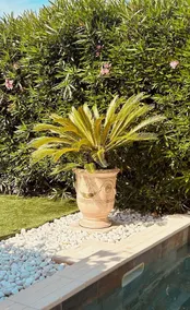 Villa TAVEL, near AVIGNON - Image 3